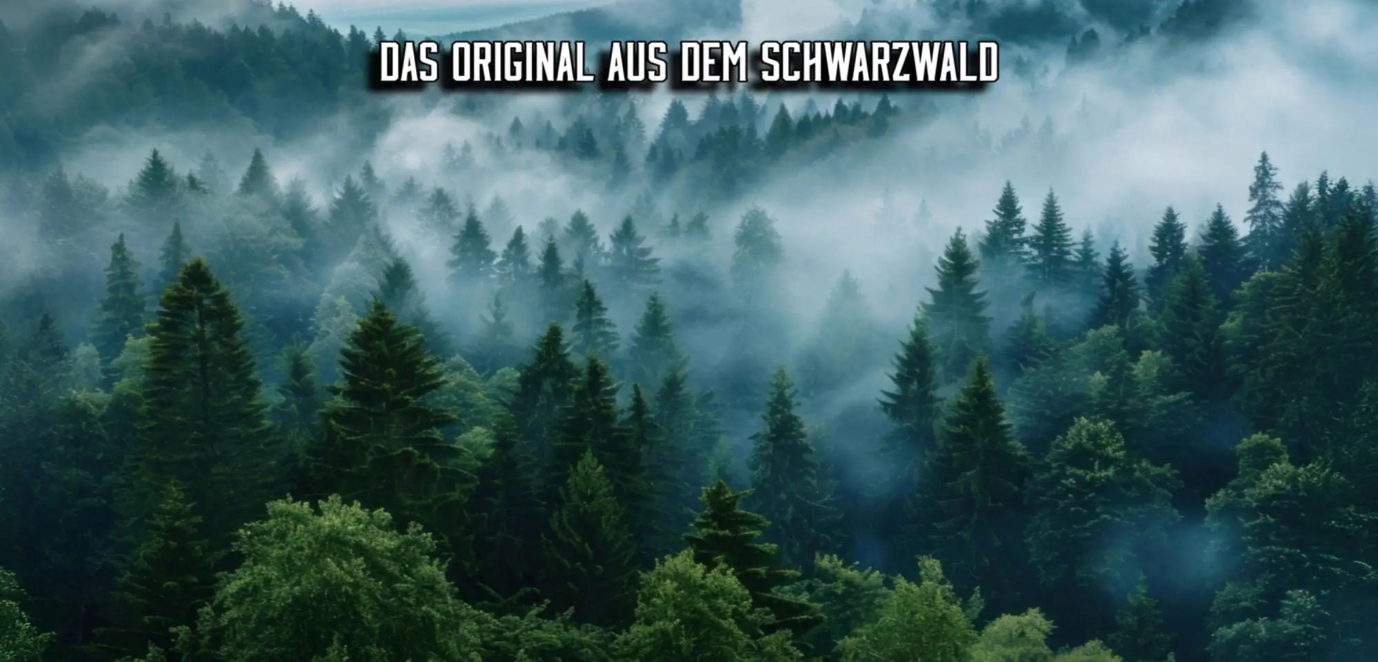 Nebelverhangener Wald mit hoch aufragenden Nadelbäumen in tiefen Grüntönen und Blautönen, umhüllt von wirbelndem Nebel.